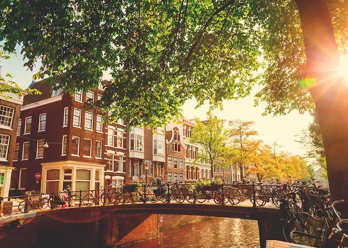 Flying Pig UptownHostal